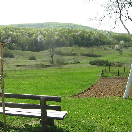 Villa Iva Rakovica Dış mekan fotoğraf