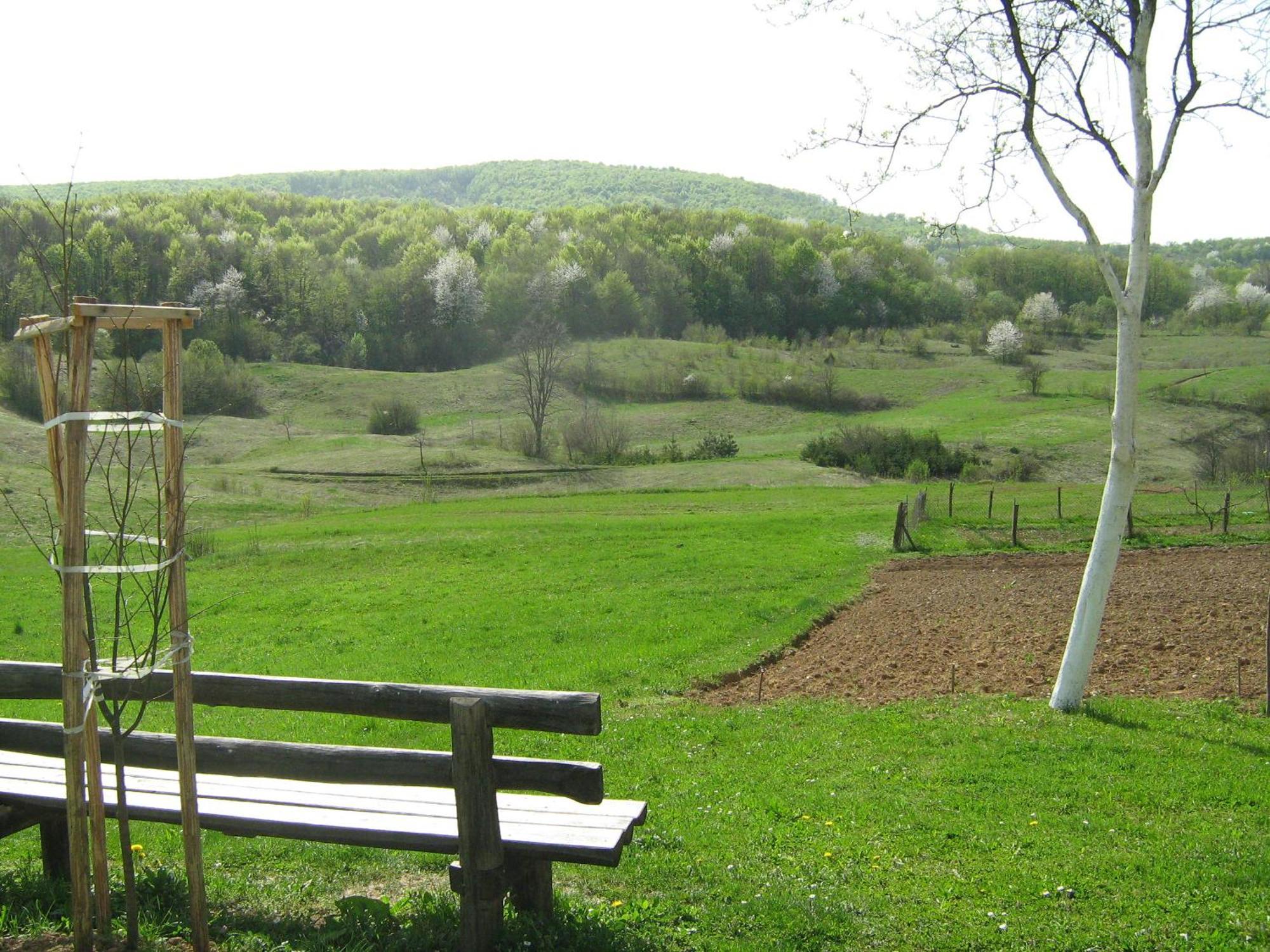 Villa Iva Rakovica Dış mekan fotoğraf